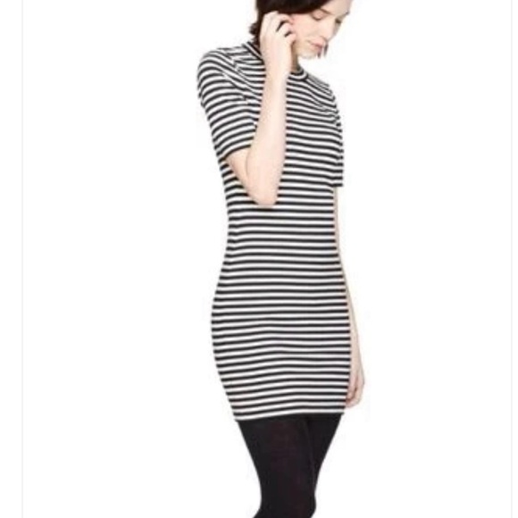 Aritzia Sunday Best Miller Stripe Short Sleeve Bodycon Dress - Picture 12 of 12
